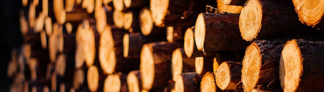 Wood2